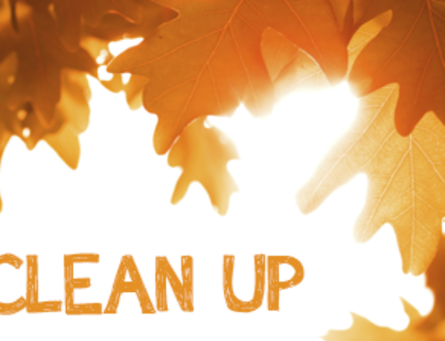 Fall Cleaning Checklist