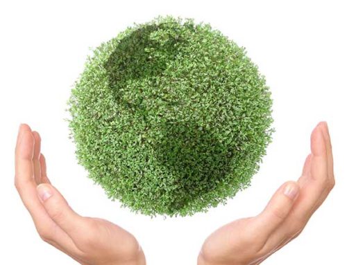 What does it mean to offer Green Cleaning Services?